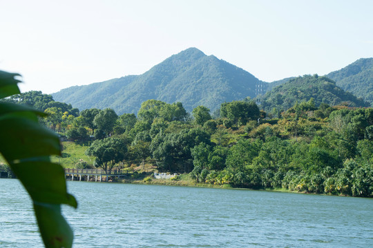 湖边绿化