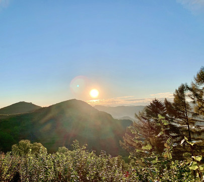 朝阳悦山秋来早