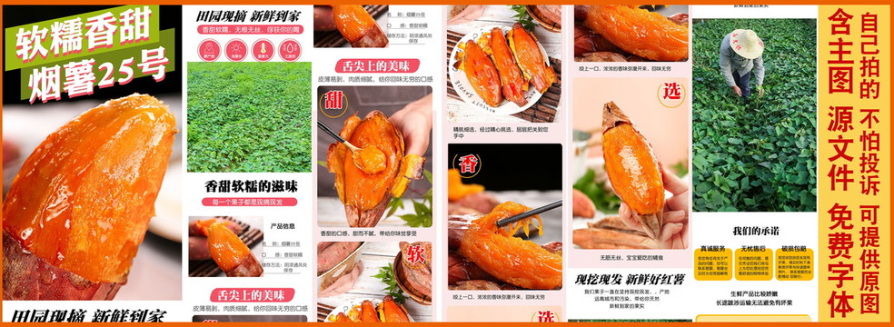山東煙薯詳情