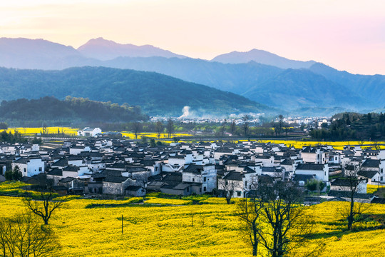 黟縣盧村春色
