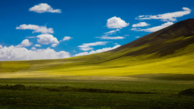 高原草场