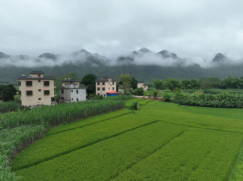 田园风光