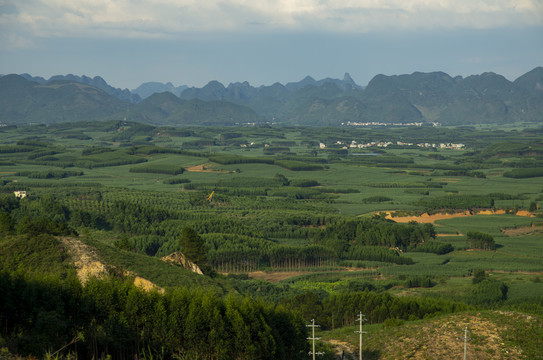 绿色乡村风景