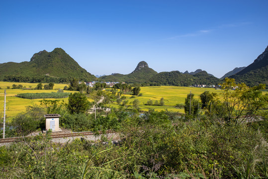 田园风光乡村风景