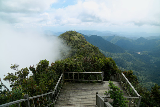 乐东尖峰岭