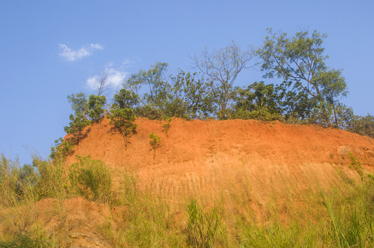 红壤土山岗