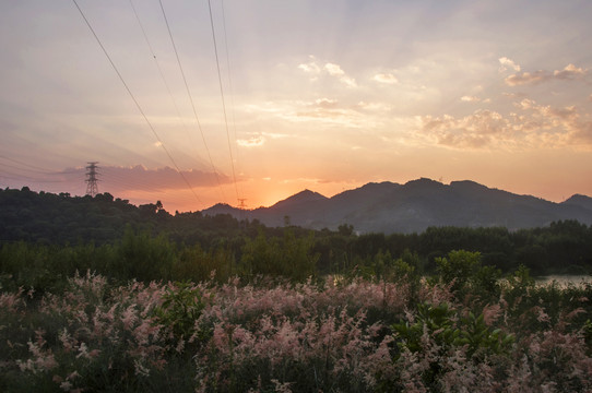 丘陵山地草丛暮色