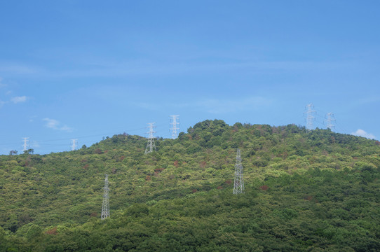 大山森林铁塔