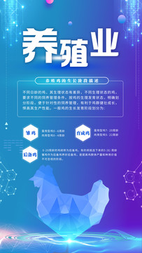 現(xiàn)代農(nóng)業(yè)養(yǎng)殖業(yè)雞介紹海報(bào)