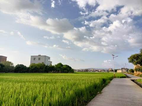 田园风景