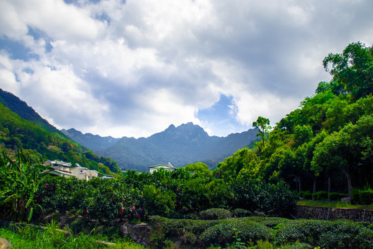 山居