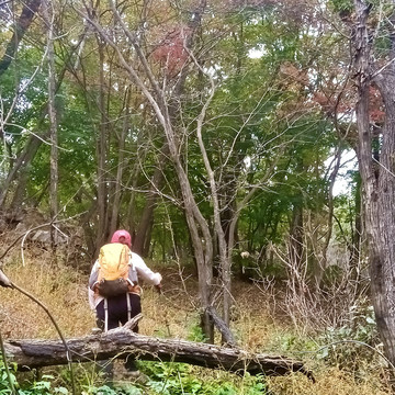 秋山里的背景