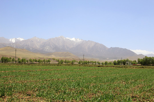 绿水青山