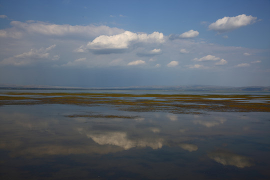 岱海