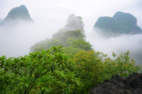 云雾山峰