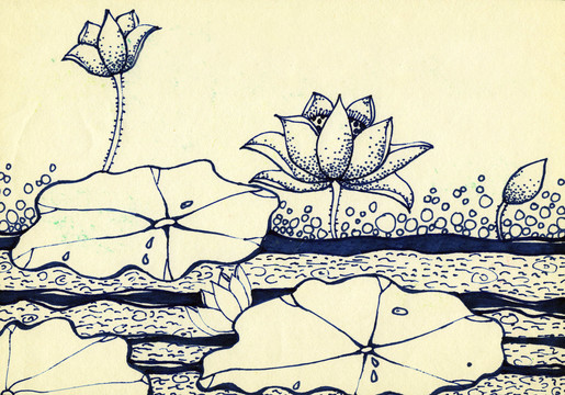 兒童插畫荷花