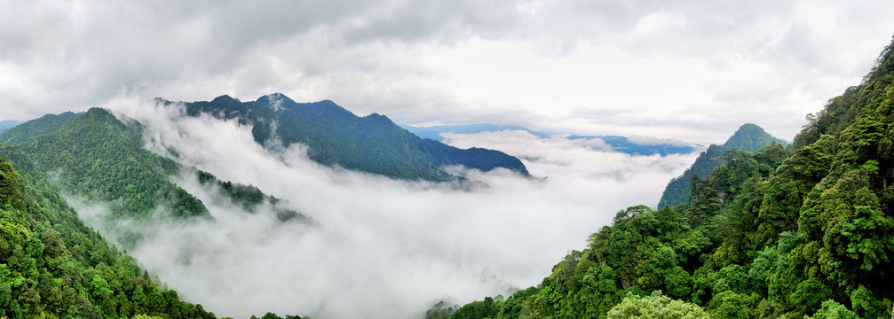 云海山峦水墨画云层笔架山