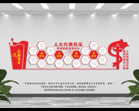 人大代表風(fēng)采