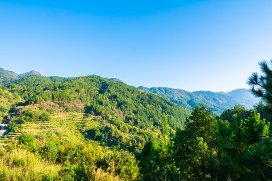 大别山风光