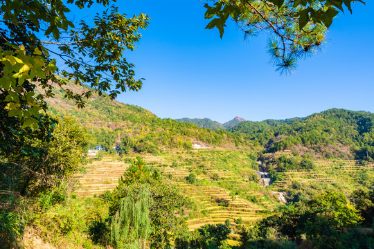 大别山梯田