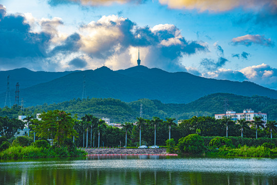 梧桐山远眺