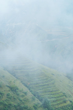 云雾山村