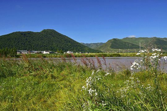 洮河风光