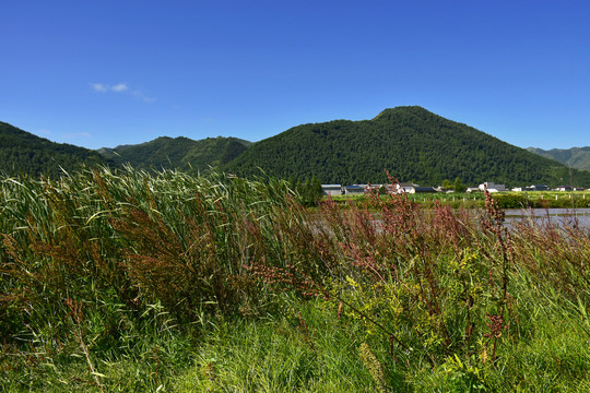 洮河风光