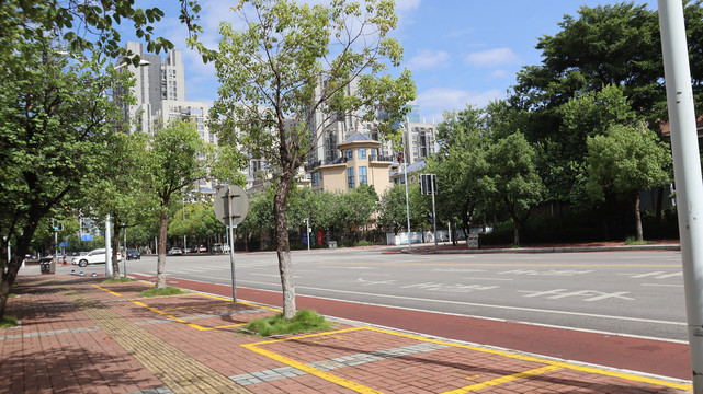 道路停车区