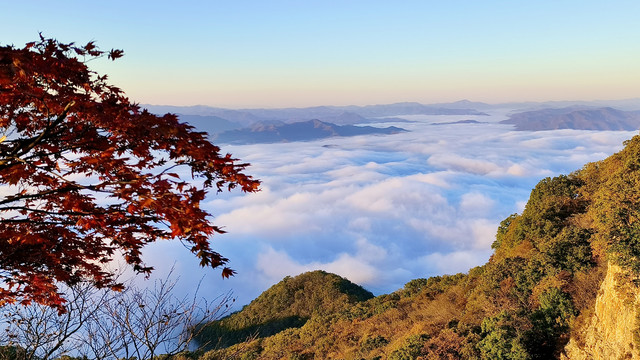 秋山枫红云海怒