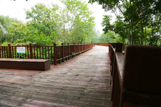 木栏杆步道景观