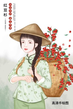 紅豆杉插畫