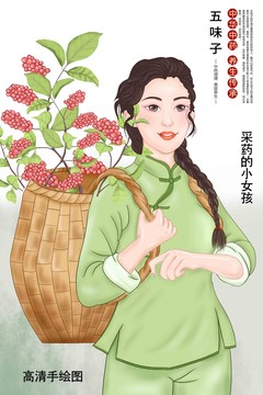五味子插畫