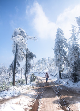 雪景