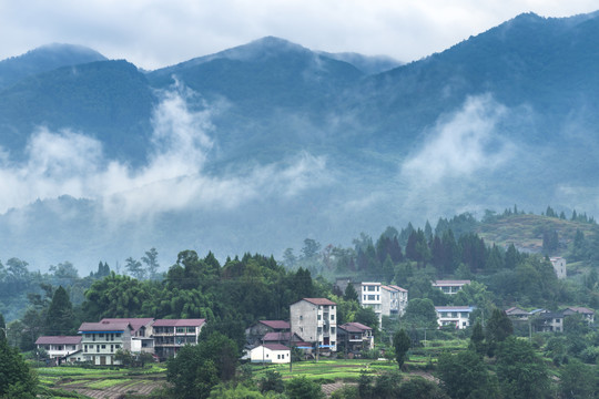 诗意田园