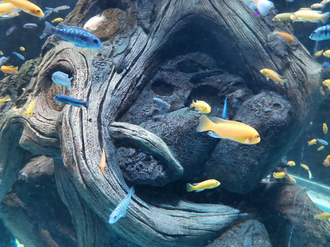 海洋館