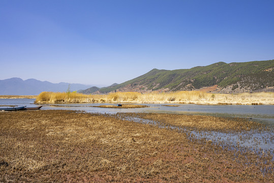 泸沽湖草海