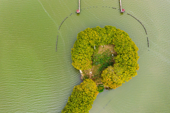 航拍武汉东湖风景区湖中林荫道