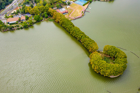 航拍武汉东湖风景区湖中林荫道