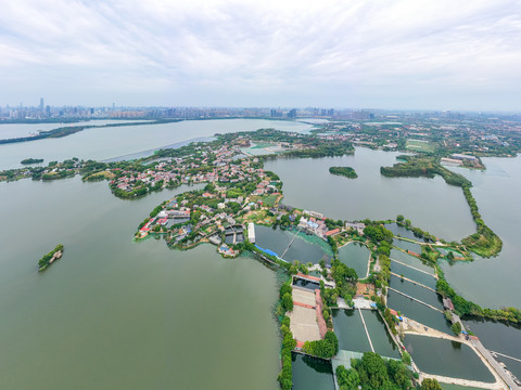 航拍武汉东湖落雁景区落雁岛