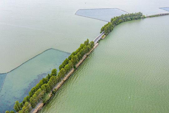 航拍武汉东湖绿道风景区湖中道