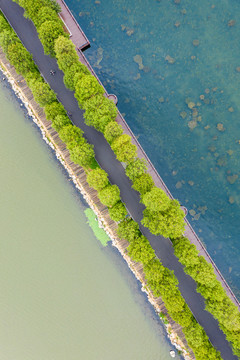 航拍武汉东湖绿道风景区湖中道