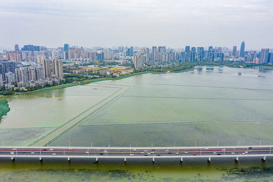 航拍湖北武汉沙湖公园沙湖大桥