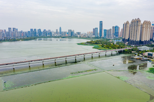 航拍湖北武汉沙湖公园沙湖大桥