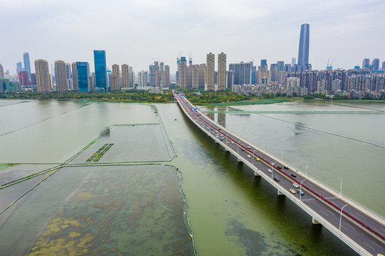 航拍湖北武汉沙湖公园沙湖大桥