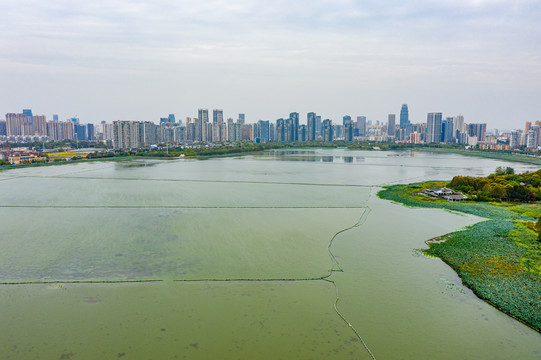 航拍湖北武汉沙湖公园湖泊湿地