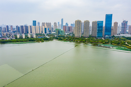 航拍湖北武汉沙湖公园湖泊湿地