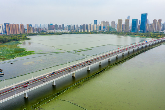 航拍湖北武汉沙湖公园沙湖大桥