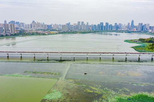 航拍湖北武汉沙湖公园沙湖大桥