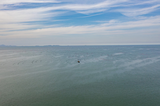 大海海洋水产养殖